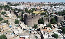 Diyarbakır’da 3 yaşındaki çocuk kuduz oldu: 50’ye yakın kişi aşıya yönlendirildi