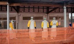 DSÖ Ebola için acil destek çağrısı yaptı