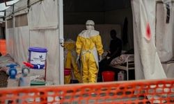 Dünya Sağlık Örgütü: Ebola salgını kontrolden çıkıyor