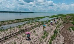 Aşırı yağı ve kuraklık: El Niño krizi alarmı