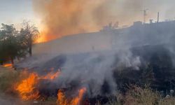 Elazığ'da otluk alanda yangın