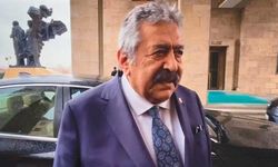 MHP'li Yıldız, 'Barış Süreci' için dünya örneklerini paylaştı