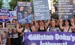 Gülistan Doku eyleminde Soylu sorusu