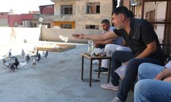 Diyarbakır'da güvercin oteli yeniden kapılarını açtı