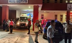 Diyarbakır'da ineğin saldırdığı kişi ağır yaralandı