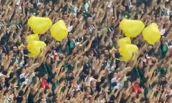 Kocaeli-Amedspor maçında Sarı torbalıların kimlikleri tespit edildi