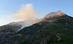 Munzur Vadisi Milli Parkı’nda orman yangını