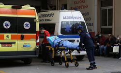 Yunanistan'da Batı Nil Virüsü yayılıyor
