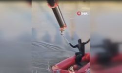 Şanlıurfa'da otomobil dereye uçtu: Sürücü kayboldu