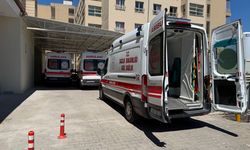Urfa Siverek’te bıçaklı kavga