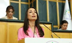 Hatimoğulları: Yasa AKP’nin değil