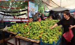Diyarbakır’da kurutmalık sezonu başladı, balkonlar rengarenk oldu