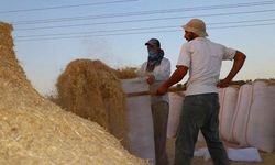 Diyarbakır’da çileli saman ticareti!