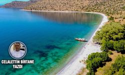 VAN GÖLÜ TEHLİKE ALTINDA