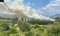 Orman yangınına 7 hava aracı ile müdahale