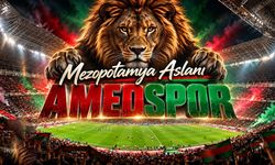 Mezopotamya Aslanı AMEDSPOR