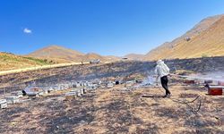 Adıyaman’da yangın: 200 arı kovanı kül oldu
