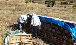 Tunceli'de yüzyıllık arıcılık geleneği yaşatılıyor