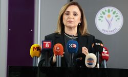 Ayşegül Doğan'dan erişim engellerine tepki