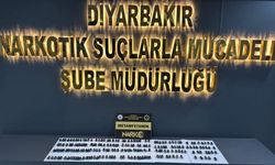Diyarbakır'da yabancı uyruklu 2 kişi tutuklandı
