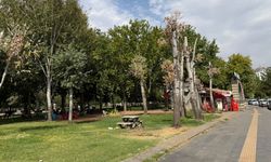 Diyarbakır Koşuyolu Parkı’nın iki yüzü
