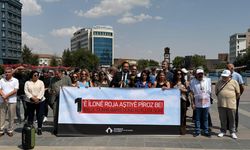 Diyarbakır’da 1 Eylül Dünya Barış Günü’nde kalıcı barış için çağrı yapıldı