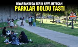 Diyarbakır'da serin hava heyecanı, parklar doldu taştı