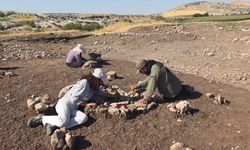 Diyarbakır’da tarihe ışık tutan maden keşfedildi