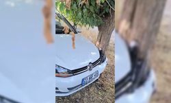 Yoldan çıkan araç ağaca çarptı, 2 yaralı