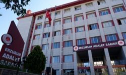 Gülistan Doku soruşturmasında 2 kişi daha tutuklandı