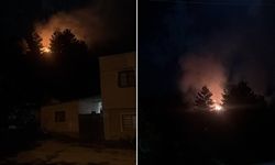 Havai fişek ormanlık alanda yangına neden oldu