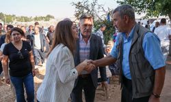 Serra Bucak: Hayvan pazarı ihalesi sonbaharda olacak