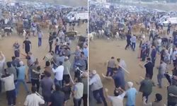Diyarbakır hayvan pazarında kavga: Çok sayıda yaralı var