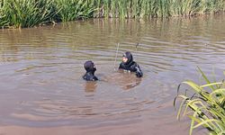 Kayıp Balkaya için Karasu Nehri'nde arama