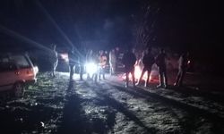Mantar toplamaya giden 4 arkadaştan 2'si kayboldu
