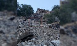 Diyarbakır'da dağ keçileri görüntülendi