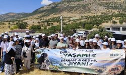 Lice’de köylülerden 93 bin panellik GES projesine tepki