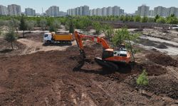 Diyarbakır'da Naturapark'ın yüzde 45'i kaldı