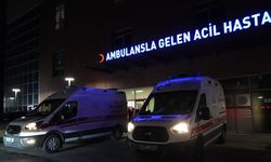 Hayvan otlatma kavgasında 5 yaralı