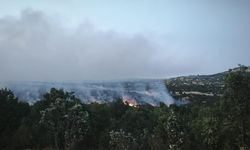 Diyarbakır’da ormanlık alanda yangın!