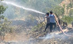 Siirt’te orman yangını: Ekiplerin müdahalesi sürüyor