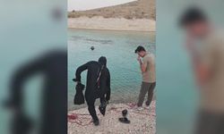 Şanlıurfa'da gölete giren genç boğuldu