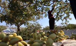 Batıya mevsimlik göçün önünü alacak proje Diyarbakır’da
