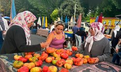 Lice domatesine büyük ilgi