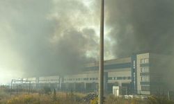 WHO: Rus saldırısında depomuz imha edildi