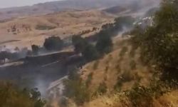 Diyarbakır'da yangın; Üzüm bağları kül oldu