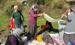 Diyarbakır'da bağ bozumu başladı