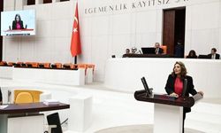 DEM Parti Diyarbakır Milletvekili Kaya: Meclis'in denetim yetkisinin önünde engel olmayın