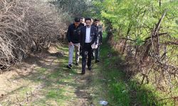 Diyarbakır Dicle kıyısında gül kokacak