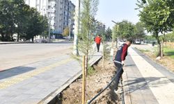 Diyarbakır Bismil’de yeşil alanlara damlama sulama sistemi